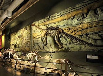 120 milyon yılllık dinozorun midesinden son yemeği çıktı
