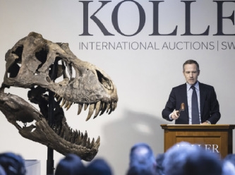 67 milyon yaşındaki dinozor 6 milyon dolara satıldı