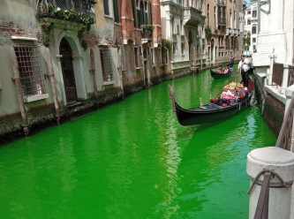 Venedik'in kanal suyu neden yeşile dönüştü?