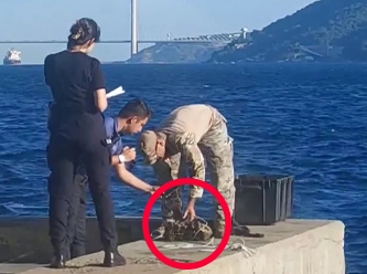 İstanbul Sarıyer'de mayın bulundu