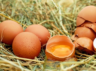 Türkiye'ye 'kanser yapan yumurta' mı yediriliyor?
