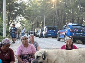 Akbelen Ormanı’nda ‘kıyım’ da sürüyor direniş de...