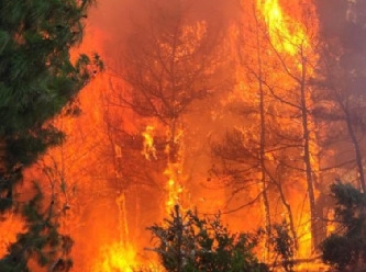 Biri södürülemeden yenisi başlıyor: Şimdi de Marmaris'te orman yangını!