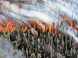 Yunanistan'daki tüm orman yangınları kontrol altında