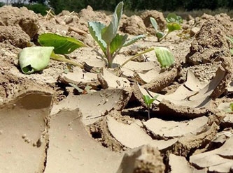 Katalonya'da kuraklık nedeniyle acil durum ilanı