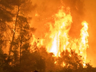 Yunanistan'daki orman yangınında korkunç gelişme: 18 ceset mültecilere mi ait?