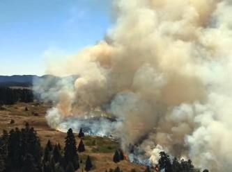 2 orman yangını paniği: 8 uçakla müdahale ediliyor
