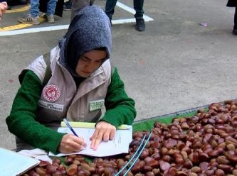 Pazarda Çin kestanesi alarmı