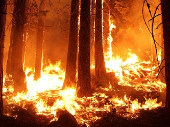 Şili cayır cayır yanıyor: 131 ölü 300 kayıp var