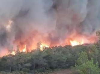 Marmaris’te ormanı yakan sanığın cezası belli oldu