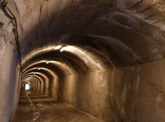 Polonya, neden sıınak yapmaya başladı?