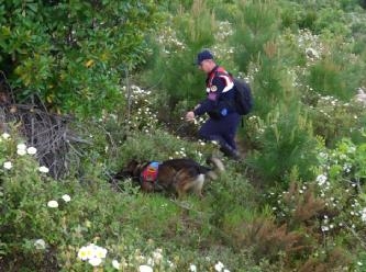 Kadavra köpekleri Berzeg'den bir iz arıyor: Çember daraldı, hedef kafatası