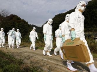 H5N1 salgını geliyor