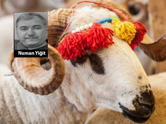 [Numan Yılmaz Yiğit] Bayramı, herkesin bayramı yapmak