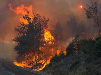 İzmir Selçuk'ta büyük yangın: Evler ve oteller boşaltıldı