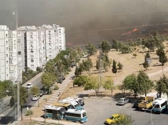 İzmir'de orman yangını: İki mahalle tahliye edildi, 3 ev zarar gördü
