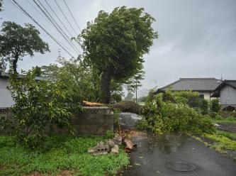 Japonya'da Şanşan Tayfunu: 3 ölü, 40 yaralı