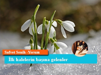 İlk halelerin başına gelenler