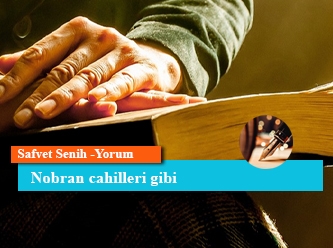 Nobran cahilleri gibi