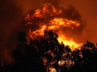 Türkiye kırmızı alarma geçti: Orman yangınları dört bir yanda!