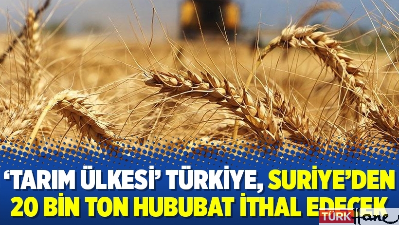 ‘Tarım ülkesi’ Türkiye, Suriye’den 20 bin ton hububat ithal edecek