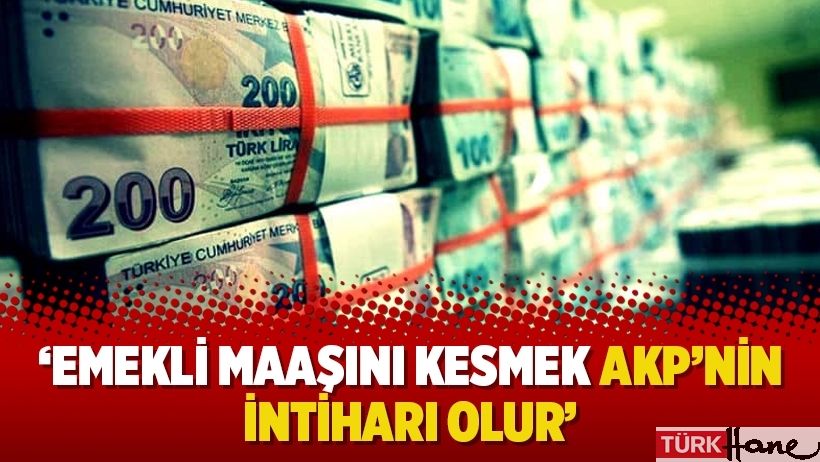 ‘Emekli maaşını kesmek AKP’nin intiharı olur’