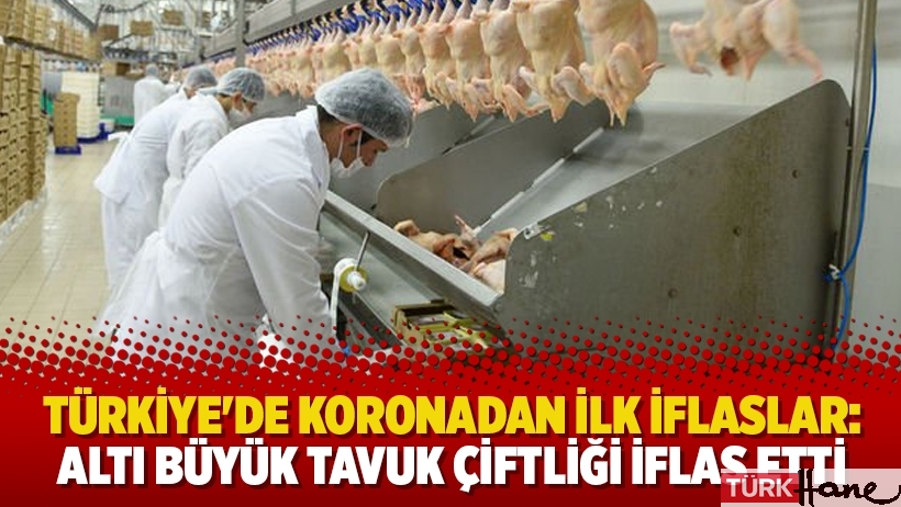 Türkiye'de koronadan ilk iflaslar: Altı büyük tavuk çiftliği iflas etti