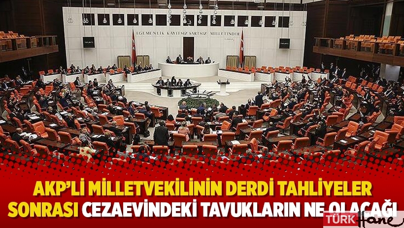 AKP’li milletvekilinin derdi tutuklular değil tahliyeler sonrası cezaevindeki tavukların ne olacağı