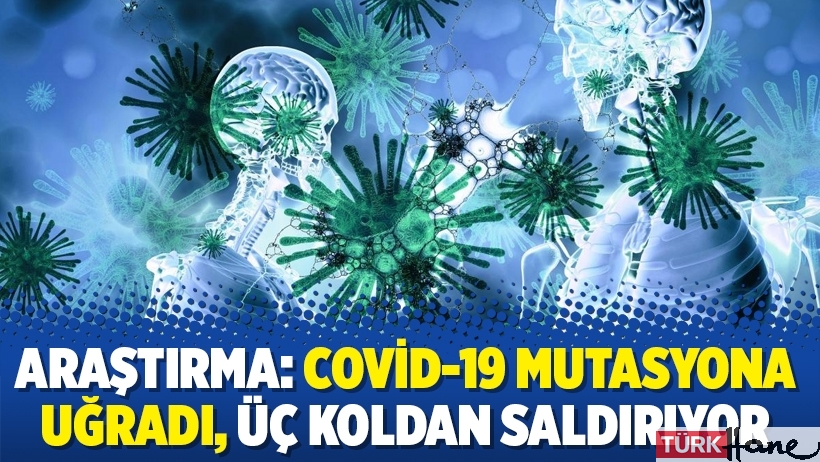 Araştırma: Covid-19 mutasyona uğradı, üç koldan saldırıyor