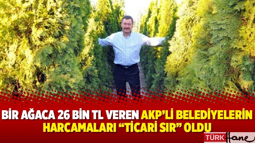 Bir ağaca 26 bin TL veren AKP’li belediyelerin harcamaları “ticari sır” oldu