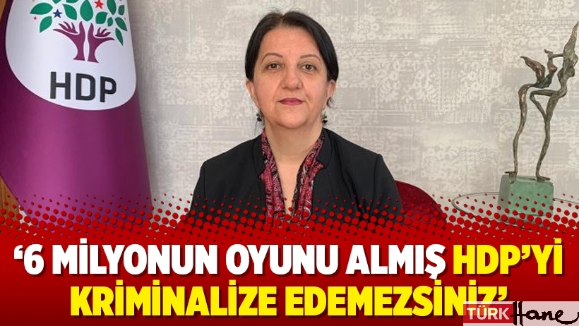 ‘6 milyonun oyunu almış HDP’yi kriminalize edemezsiniz’