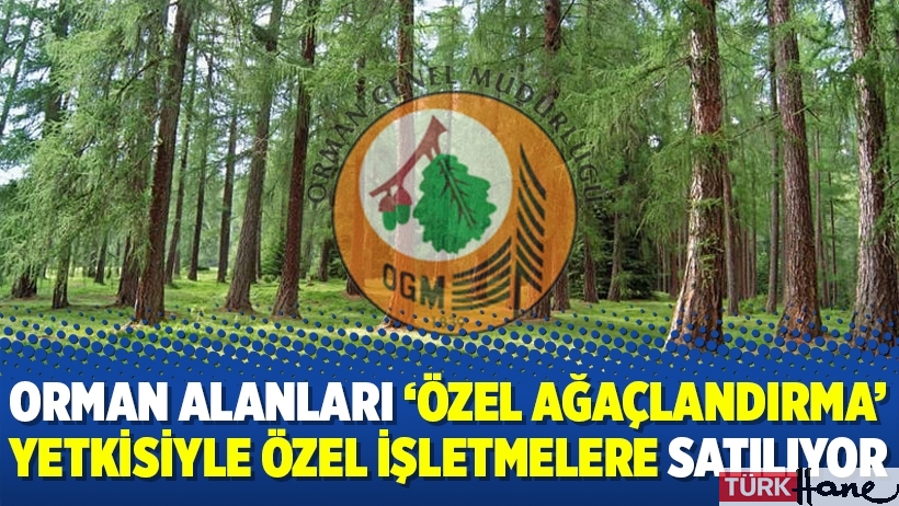 Orman alanları ‘özel ağaçlandırma’ yetkisiyle özel işletmelere satılıyor