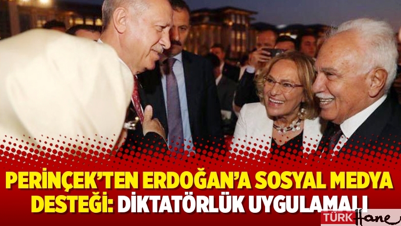 Perinçek’ten Erdoğan’a sosyal medya desteği: Diktatörlük uygulamalı