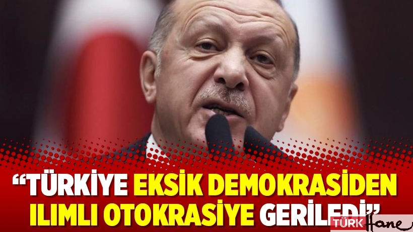 “Türkiye eksik demokrasiden ılımlı otokrasiye geriledi”