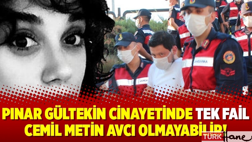 Pınar Gültekin cinayetinde tek fail Cemil Metin Avcı olmayabilir!