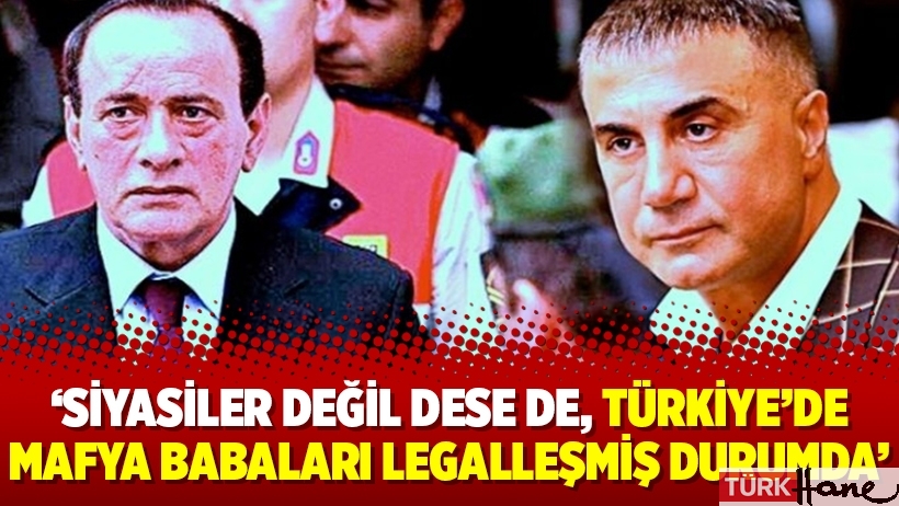 ‘Siyasiler değil dese de, Türkiye’de mafya babaları legalleşmiş durumda’