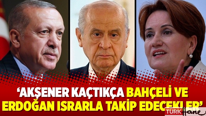 Selvi: Akşener kaçtıkça Bahçeli ve Erdoğan ısrarla takip edecekler