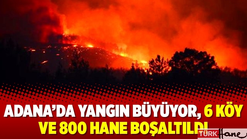 Adana’da yangın büyüyor, 6 köy ve 800 hane boşaltıldı