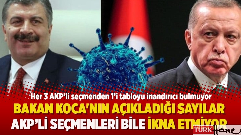 Her 3 AKP'li seçmenden 1'i Bakan Koca'nın açıkladığı sayılara inanmıyor