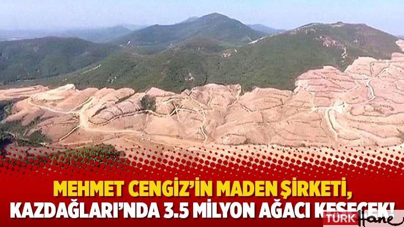 Mehmet Cengiz’in maden şirketi, Kazdağları’nda 3.5 milyon ağacı kesecek!