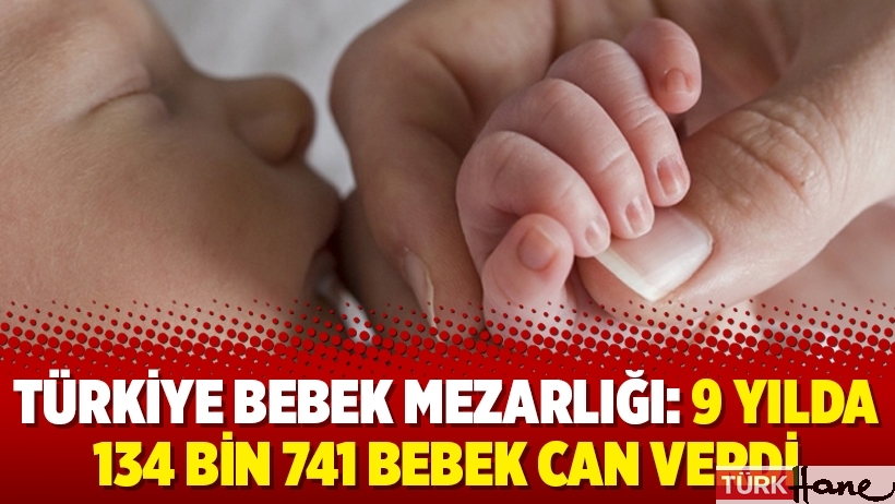Türkiye bebek mezarlığı: 9 yılda 134 bin 741 bebek can verdi