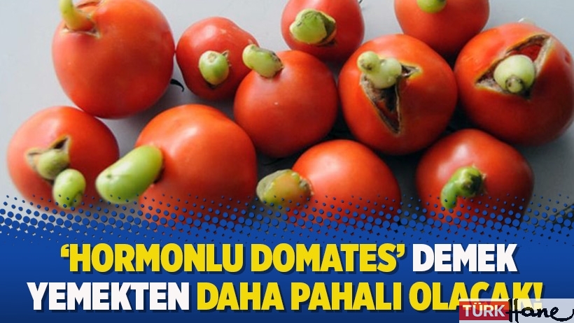 'Hormonlu domates' demek yemekten daha pahalı olacak!