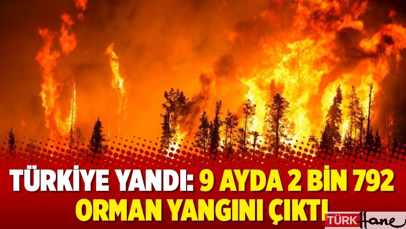 Türkiye yandı: 9 ayda 2 bin 792 orman yangını çıktı