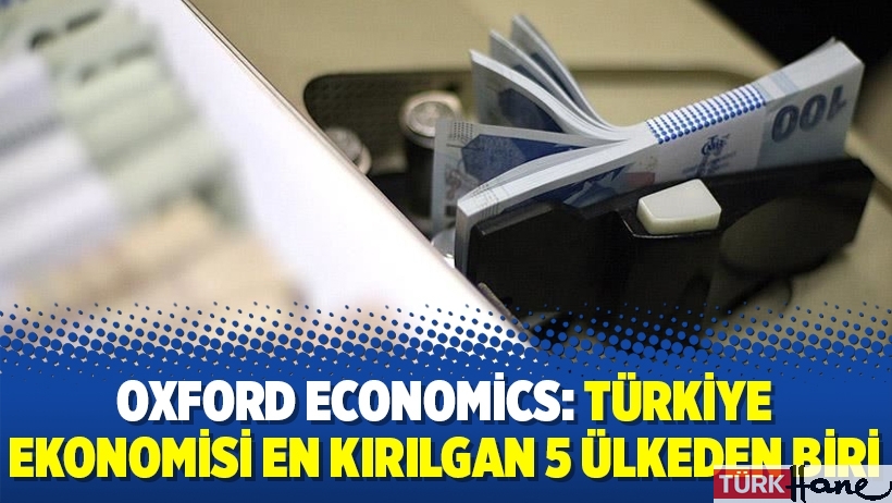 Oxford Economics: Türkiye ekonomisi en kırılgan 5 ülkeden biri