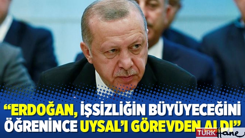 “Erdoğan, işsizliğin büyüyeceğini öğrenince Uysal’ı görevden aldı”