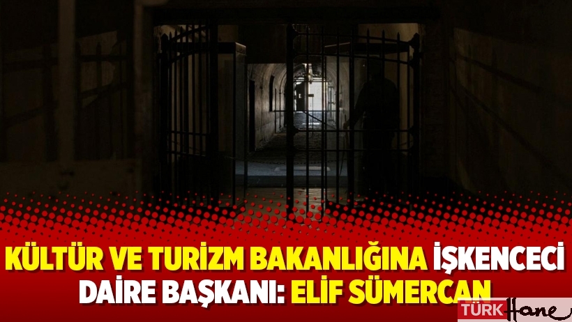 Kültür ve Turizm Bakanlığına işkenceci daire başkanı: Elif Sümercan