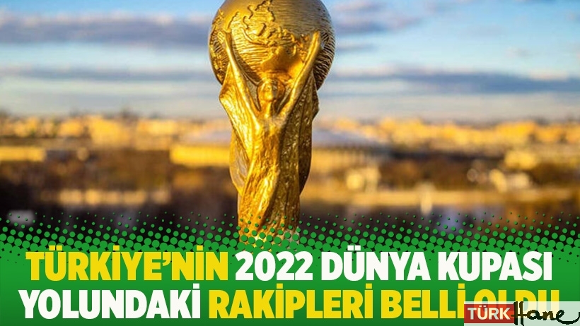 Türkiye'nin 2022 Dünya Kupası yolundaki rakipleri belli oldu