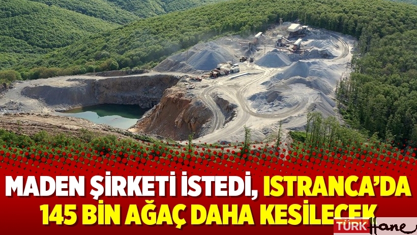 Maden şirketi istedi, Istranca’da 145 bin ağaç daha kesilecek