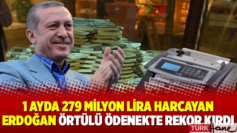 1 ayda 279 milyon lira harcayan Erdoğan örtülü ödenekte rekor kırdı