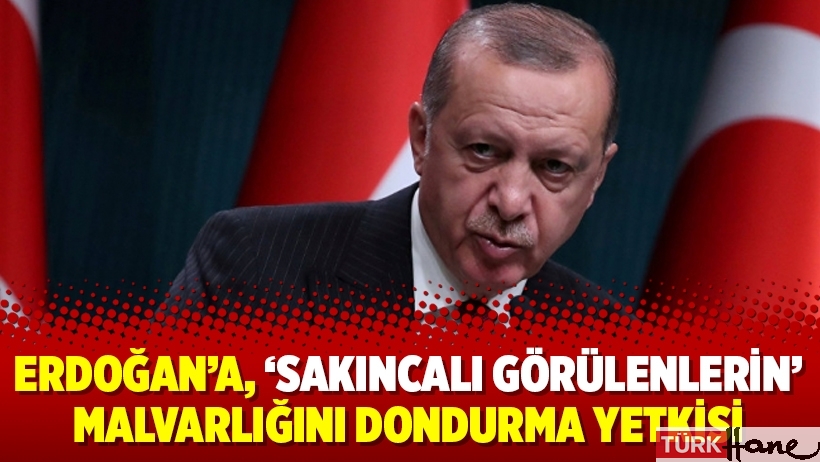 Erdoğan’a, ‘sakıncalı görülenlerin’ malvarlığını dondurma yetkisi